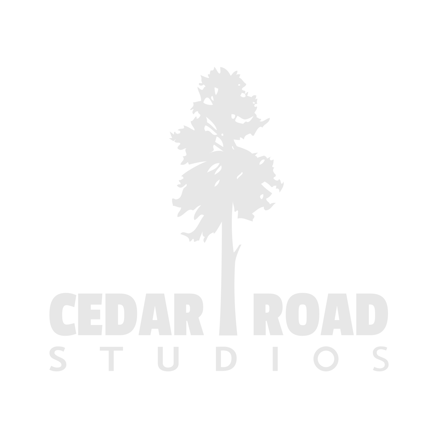 Cedar Road Studios